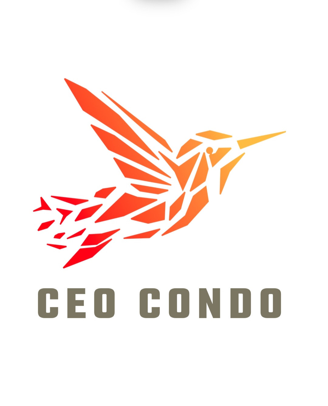 CEO Condo